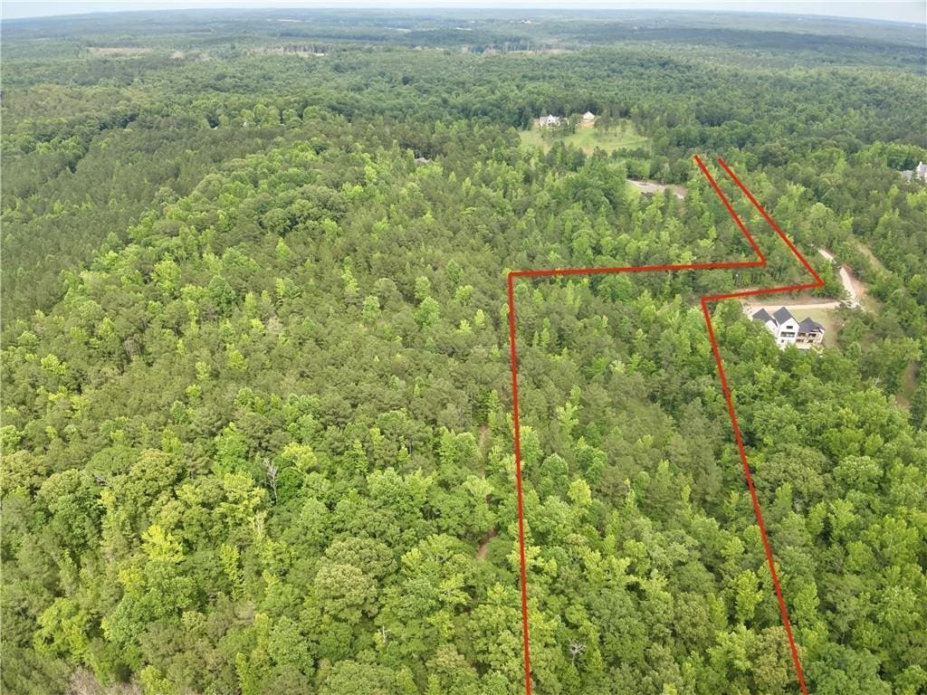 0 Lee Road 188, Waverly, AL 36879 - photo 2