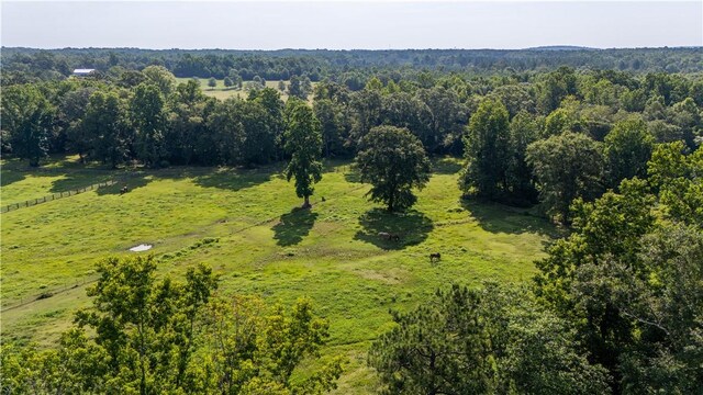 8182 County Road 53, Auburn, AL 36832 - photo 11