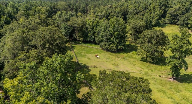 8182 County Road 53, Auburn, AL 36832 - photo 15
