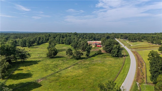 8182 County Road 53, Auburn, AL 36832 - photo 6