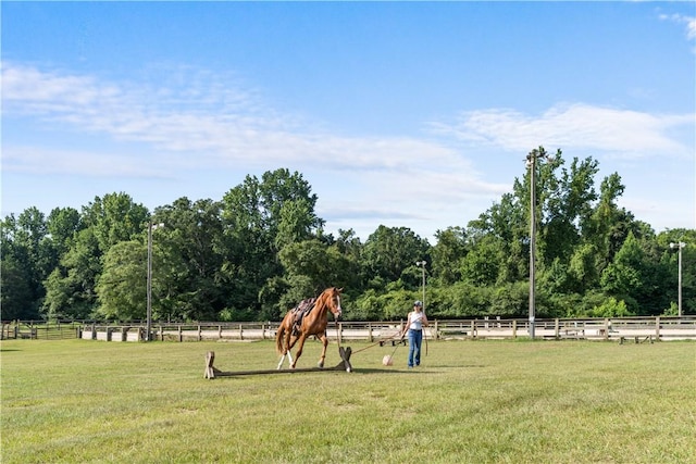 8182 County Road 53, Auburn, AL 36832 - photo 29
