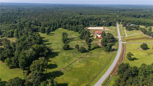 8182 County Road 53, Auburn, AL 36832 - photo 7