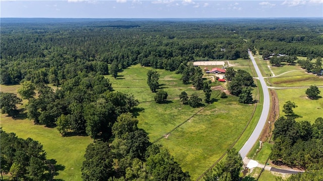8182 County Road 53, Auburn, AL 36832 - photo 16