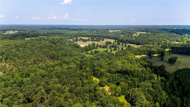 8182 County Road 53, Auburn, AL 36832 - photo 19