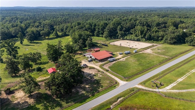 8182 County Road 53, Auburn, AL 36832 - photo 14