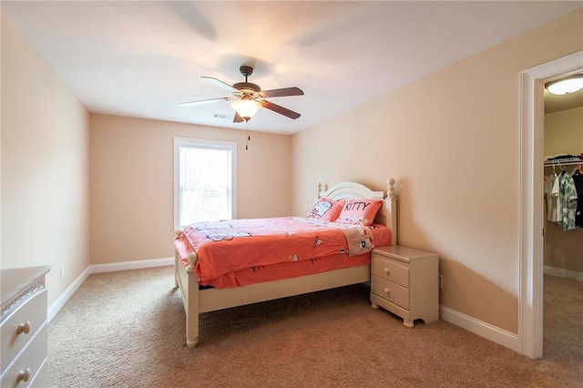 bedroom featuring a walk in closet, ceiling fan, a closet, and carpet