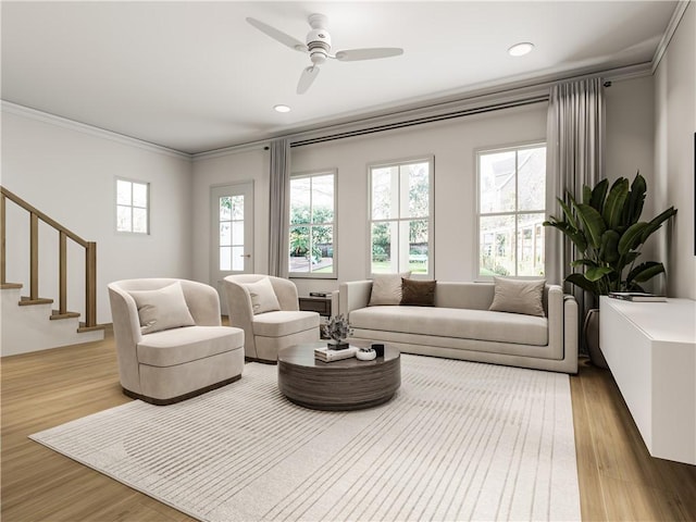 living room featuring ceiling fan, ornamental molding, and light wood-type flooring