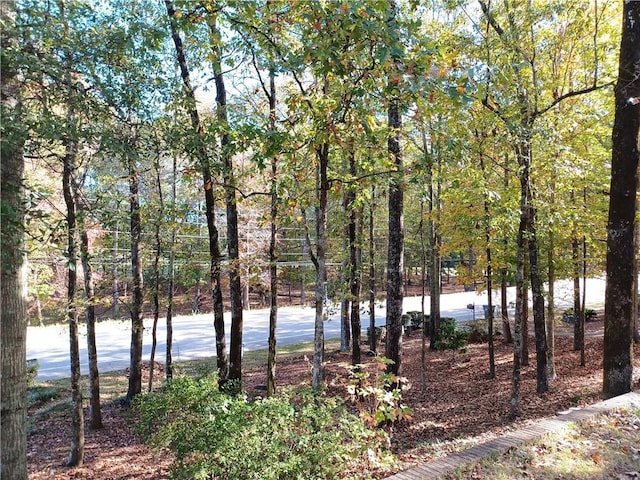 2738 Bent Creek Rd, Auburn, AL 36830 - photo 3