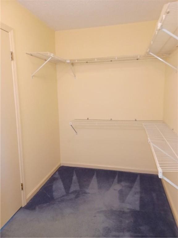 spacious closet featuring carpet