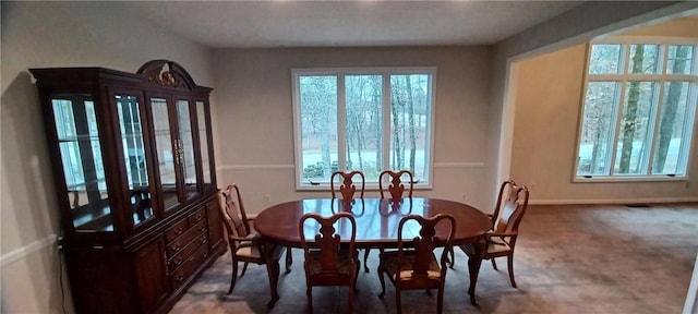 dining room with carpet