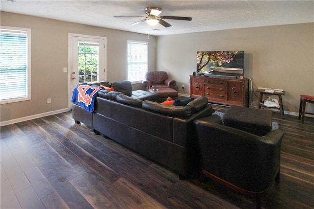 1477 N Donahue Dr Unit 3905, Auburn, AL 36830 - living area with dark wood finished floors, baseboards, and a ceiling fan