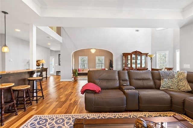 living room with crown molding and light wood-type flooring