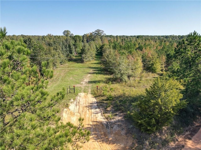 0 County Road 188, Auburn AL, 36832 land for sale