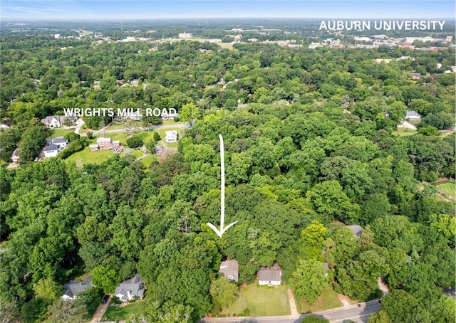 536 Dumas Dr, Auburn, AL 36830 - photo 35