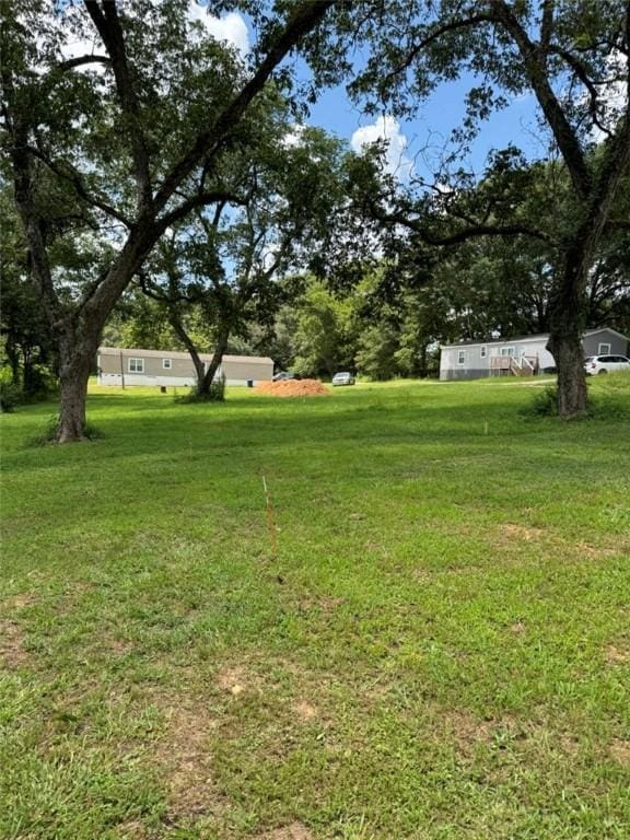 7007 Lee Road 146, Opelika, AL 36804 - photo 7