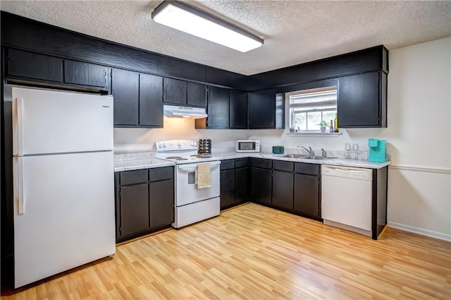 162 E University Dr Unit I201, Auburn, AL 36832 - kitchen featuring white appliances, under cabinet range hood, a textured ceiling, light wood-style flooring, and light countertops
