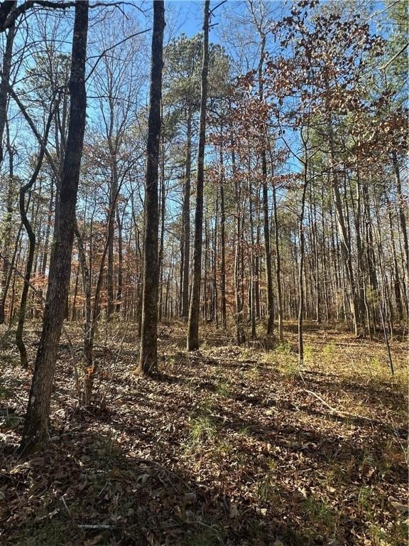 12568 Lee Road 72, Camp Hill, AL 36850 - photo 3