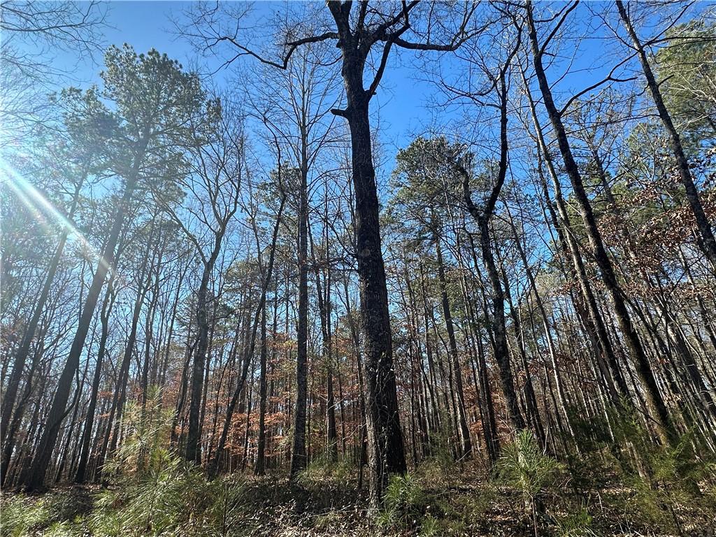 12568 Lee Road 72, Camp Hill, AL 36850 - photo 2