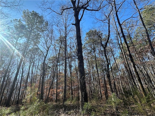 12568 Lee Road 72, Camp Hill, AL 36850 - photo 2