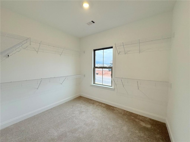 spacious closet with carpet flooring