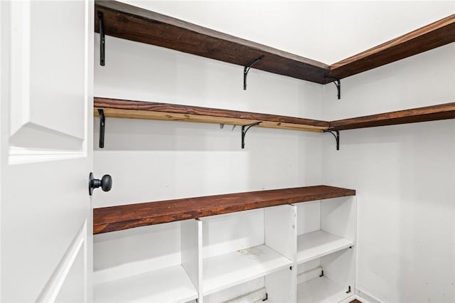 view of walk in closet