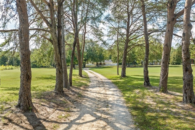 605 Lee Road 758, Beauregard, AL 36804 - photo 25