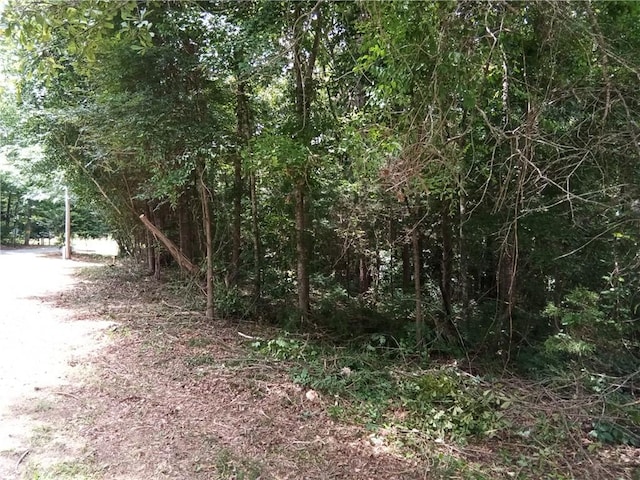 0 Lee Road 893, Valley, AL 36854 - photo 3