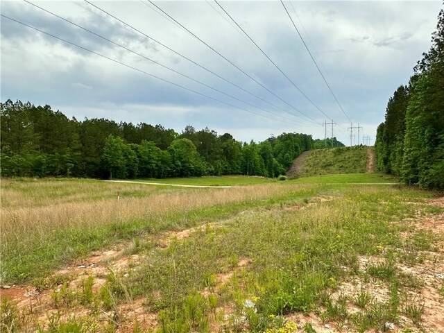 66 Lee Road 950, Smiths Station, AL 36877 - photo 6