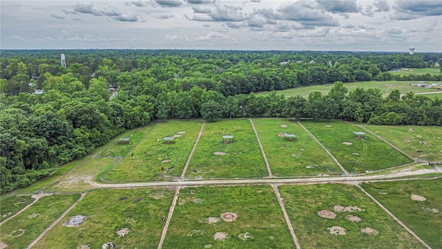 bird's eye view of a forest