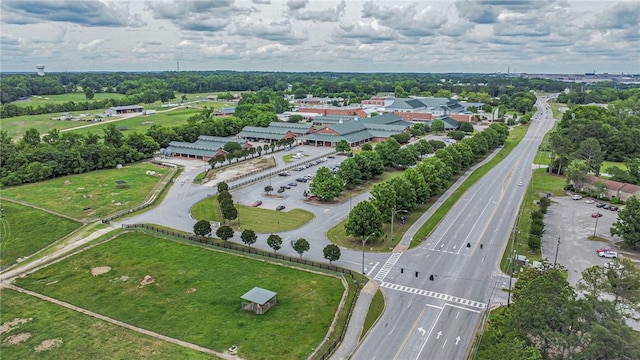 bird's eye view of a tree filled landscape