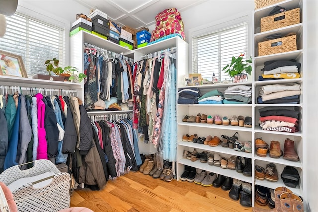 spacious closet with wood finished floors