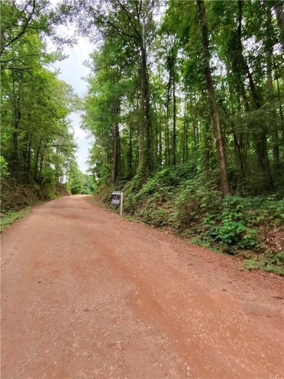 0 County Road 174, Opelika, AL 36801 - photo 2