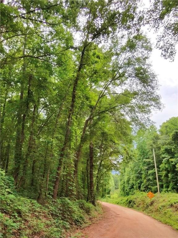 0 County Road 174, Opelika, AL 36801 - photo 1