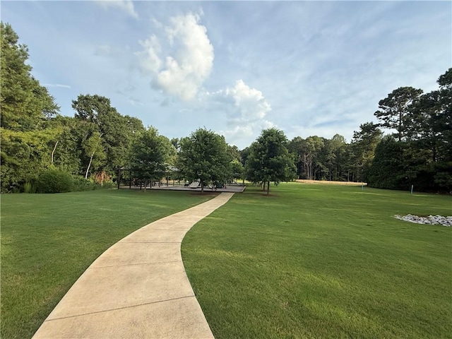 1832 Coopers Pond Rd, Auburn, AL 36830 - photo 36