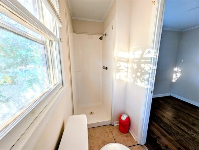 bathroom with walk in shower, a healthy amount of sunlight, and crown molding