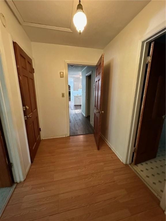 467 Southview Dr, Auburn, AL 36830 - corridor featuring hardwood / wood-style floors