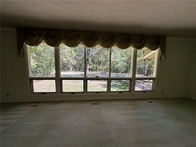 467 Southview Dr, Auburn, AL 36830 - empty room featuring carpet floors