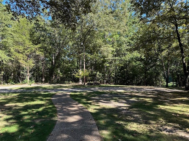 467 Southview Dr, Auburn, AL 36830 - view of road