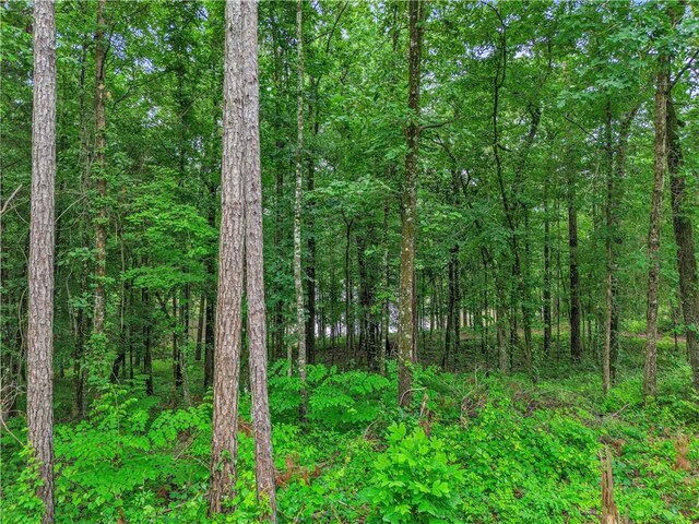 LOT5 Peachwood Dr Unit 1, Tallassee, AL 36078