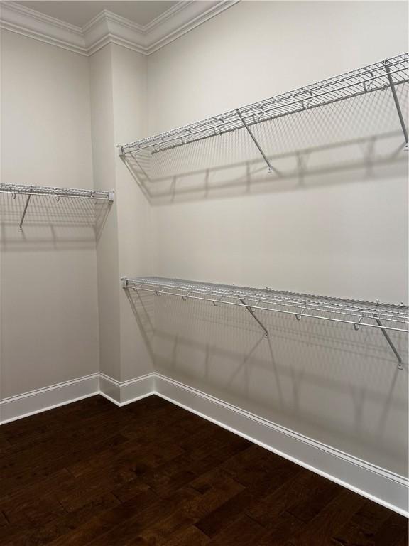 489 Windsor Dr, Opelika, AL 36801 - walk in closet with dark wood finished floors