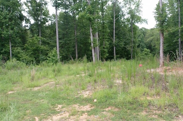 720 Ski Spray Pt, Opelika AL, 36804 land for sale