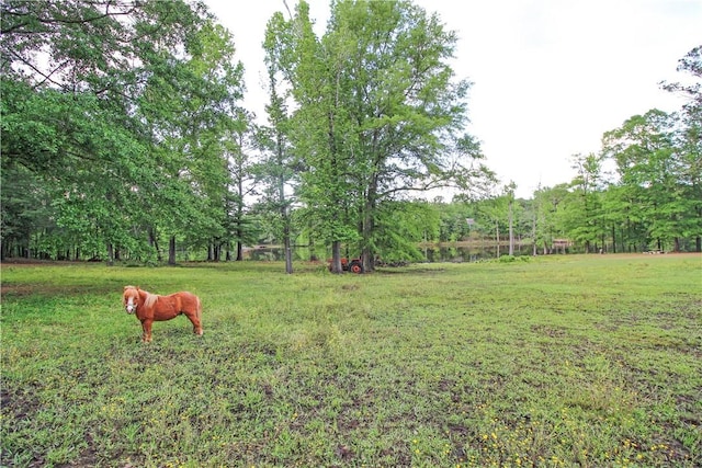 view of green lawn