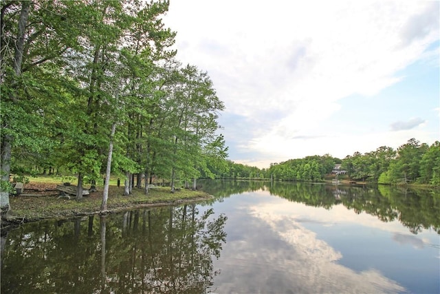 water view featuring a forest
