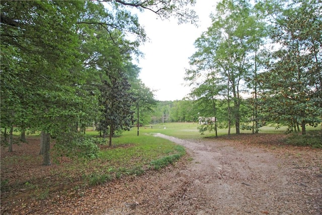 view of road