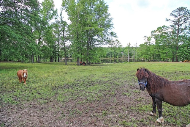 view of home's community with a lawn