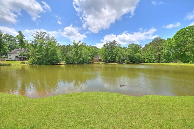 1765 Creekwood Trl, Auburn, AL 36830 - water view