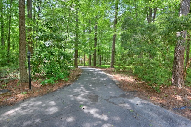 1765 Creekwood Trl, Auburn, AL 36830 - view of road with a wooded view