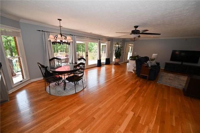 1765 Creekwood Trl, Auburn, AL 36830 - dining space featuring plenty of natural light, light wood finished floors, a chandelier, and crown molding