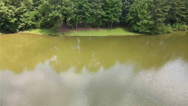 1765 Creekwood Trl, Auburn, AL 36830 - water view