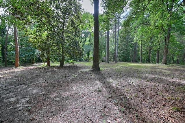 510 S Dean Rd, Auburn, AL 36830 - view of tree filled area